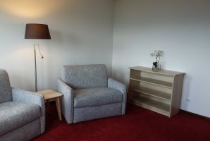 Zoom sur un fauteuil d'une chambre - Hôtel Roess