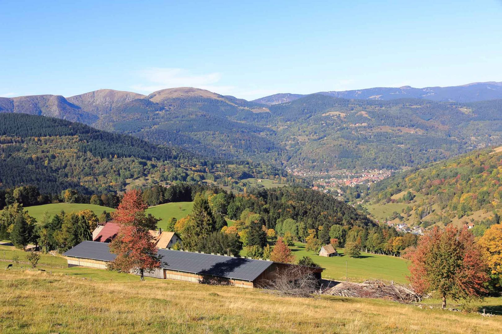 Vue sur un paysage de collines - Alsaces