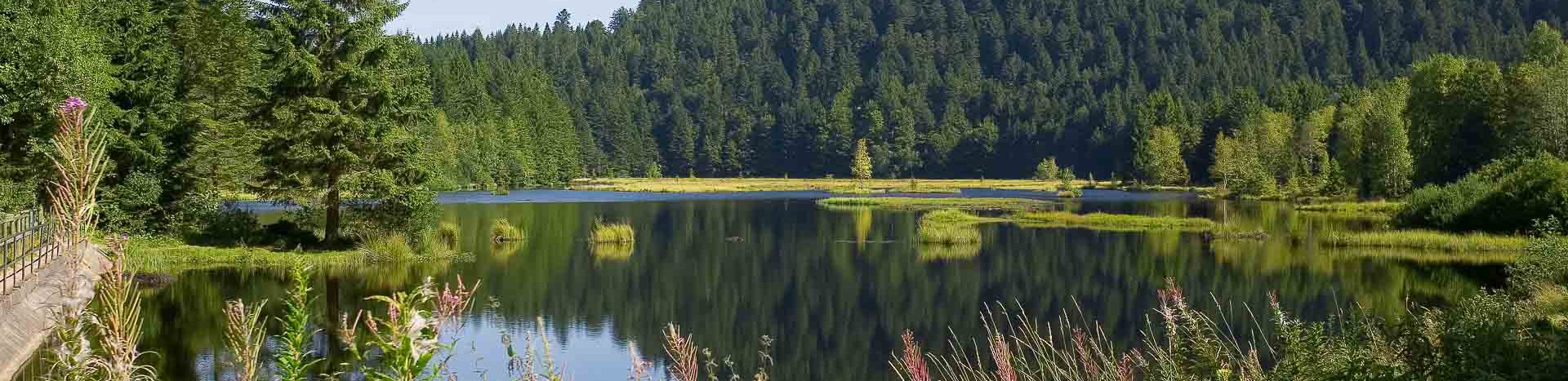 Chambre avec peluche pour enfant - Hôtel roess